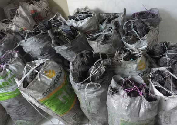 En operativo con Profepa, policías estatales aseguran carbón, madera y tierra de monte
